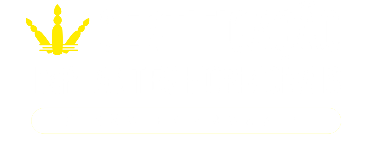 cursosdrpablomelo.com